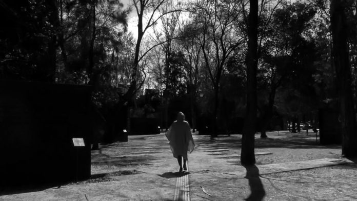 Person walking on a path through nature to support mental health