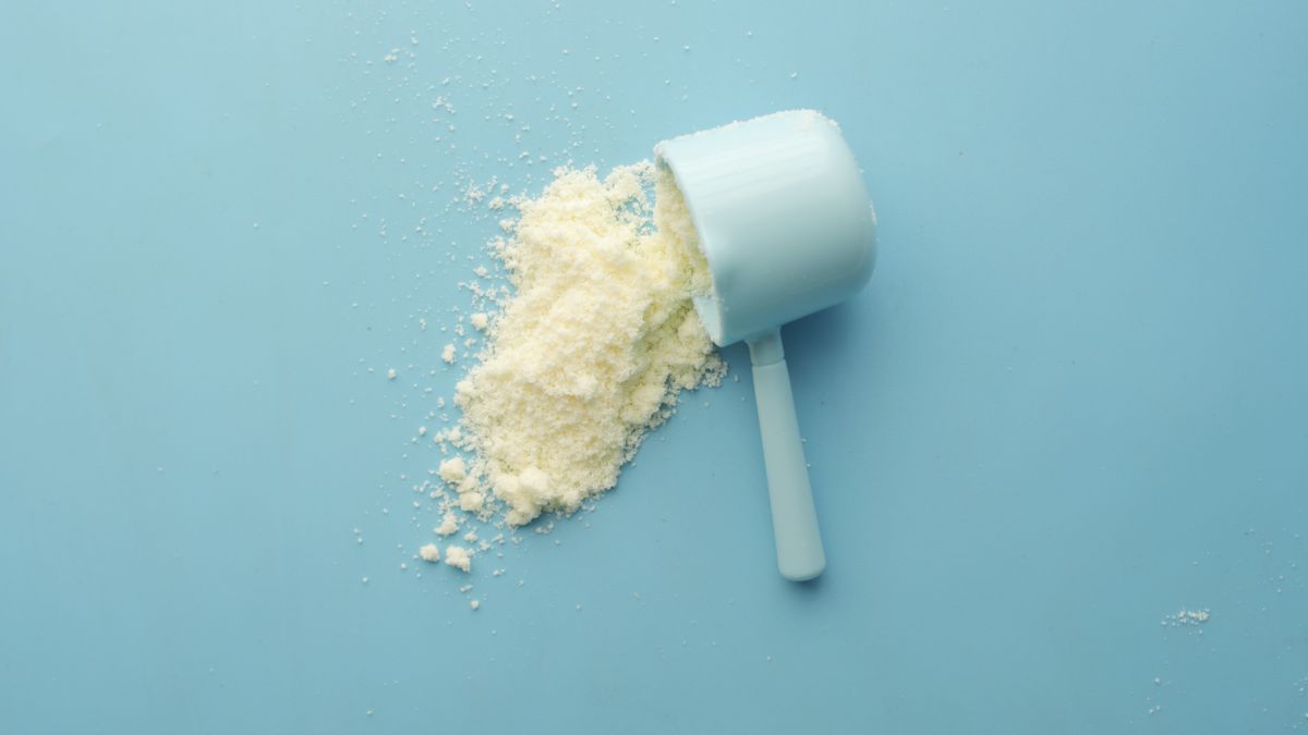 Scoop of white creatine monohydrate powder