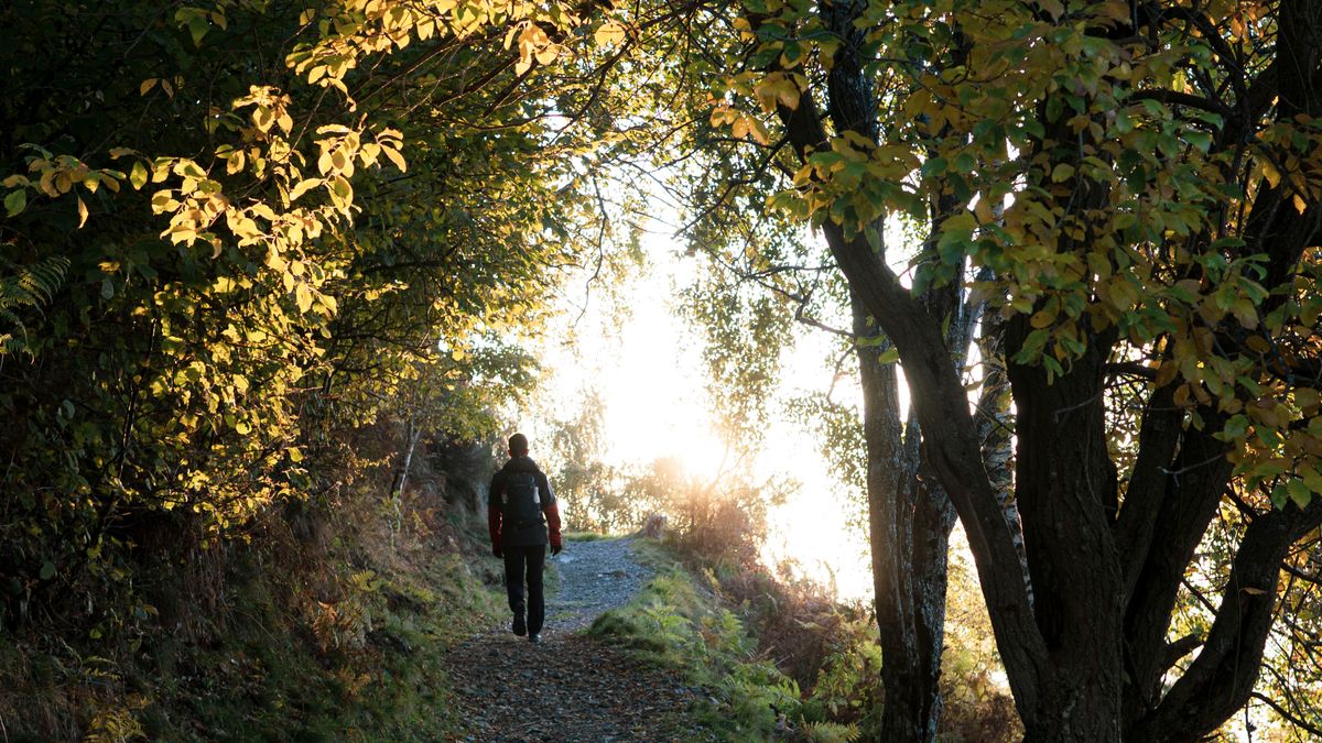 Person walking outdoors on a footpath in early morning autumn light